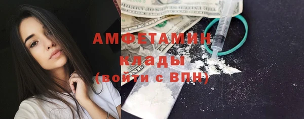 амф Козловка