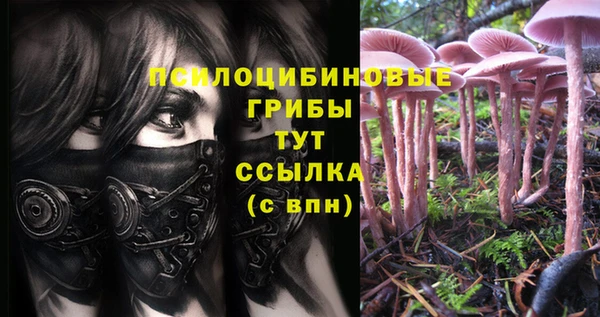амф Козловка