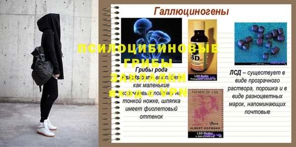 молекула духа Киренск